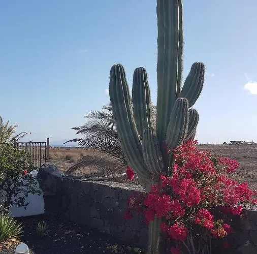 Roma Lanzarote